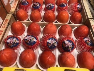 *KAKI BRILLANT   + - 4.6 KG