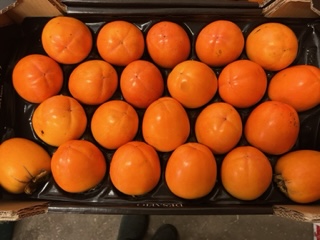 KAKI PERSIMON    + - 5KG