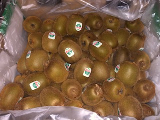 KIWI  VERT CAL 30   10 KG