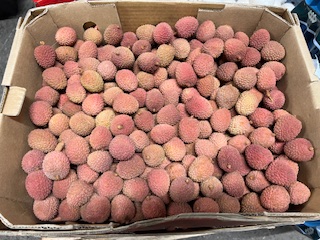 LITCHIS  + - 5.0  KG