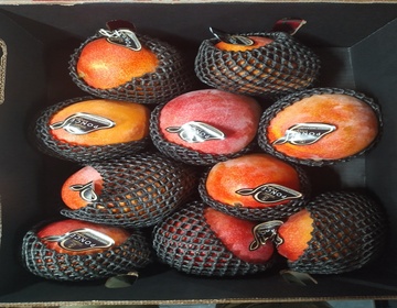 MANGUE   AVION    + -  5.8 KG