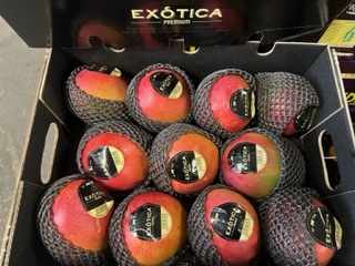 MANGUE   AVION    + -  5.8 KG