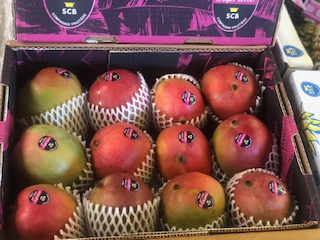 MANGUE X12 SCB SUPREME