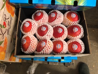 MANGUE PHILIBON X11   + - 6KG