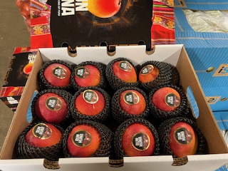 *MANGUE   AVION    + -  5.5 KG