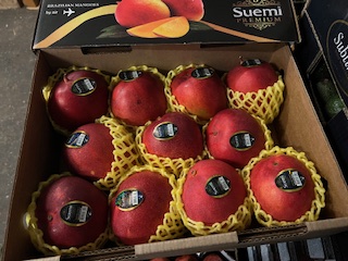 *MANGUE   AVION    + -  6  KG