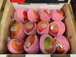 MANGUE   AVION    + -  5.8 KG