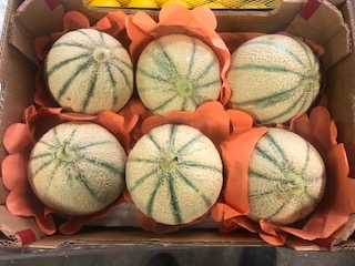 MELON CHARENTAIS   + - 6 KG