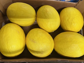 MELON JAUNE   + - 10.5  KG