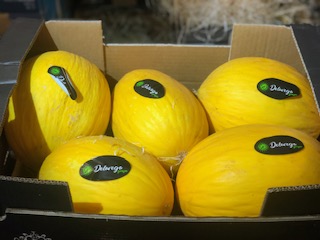 MELON JAUNE   + - 10  KG