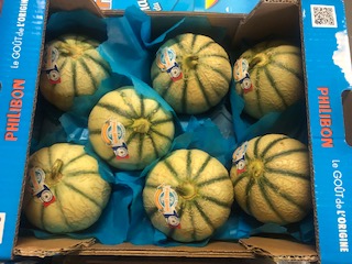 MELON  PHILLIBON x 7  + - 5. KG