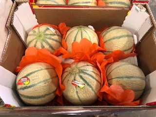 MELON CHARENTAIS   + - 6 KG