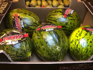 MELON Vert + - 10  KGS
