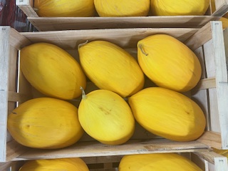 MELON JAUNE   + - 10  KG