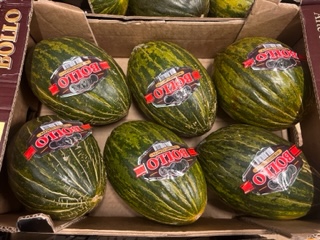 MELON VERT BOLLO +- 10 KG