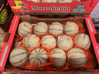 MELON CHARENTAIS   + - 6 KG