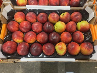 NECTARINE JAUNE CAL 26 + -  4 KG