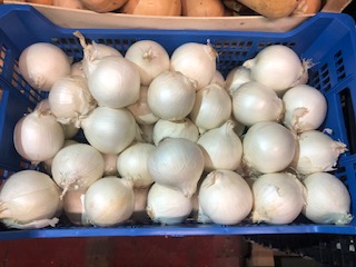 OIGNON BLANC 10KG