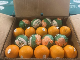 ORANGE A JUS  + -  15 KG