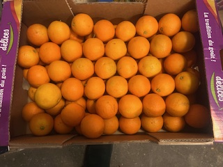 ORANGE A JUS  + -  15 KG