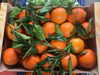 ORANGE FEUILLE PORTUGAL   + - 9 KG
