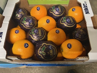 ORANGE GAMIN   + -  8 KG