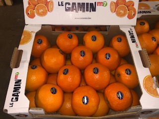 ORANGE GAMIN  M7  + -  8 KG