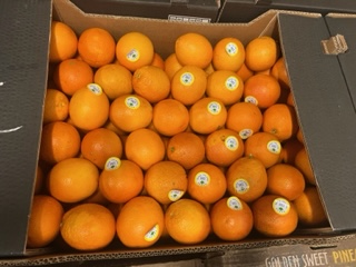 ORANGE Maltaise cal 8  + -  15  KG