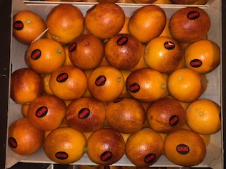 ORANGE SANGUINELLI + - 10 KG