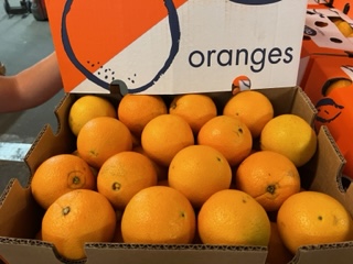 ORANGE A JUS  + -  15 KG