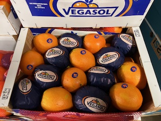 ORANGE NAVEL +- 10 KG