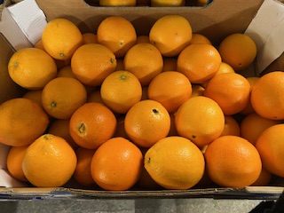 ORANGE NAVEL +- 17 KG
