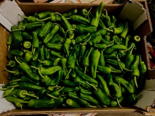 POIVRON PADRON  + - 2KG