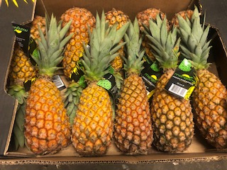 ANANAS PAIN DE SUCRE  + -  9 KG
