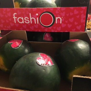 PASTEQUE fashion X3 + - 17 KG