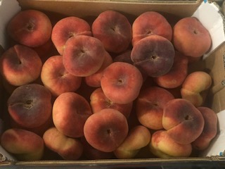 PECHE PLATE A  + - 6 KG
