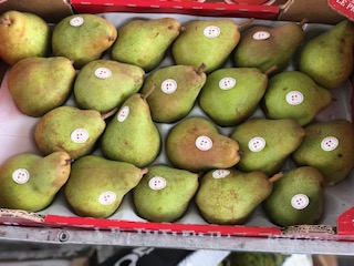 POIRE COMICE  + - 5 KG