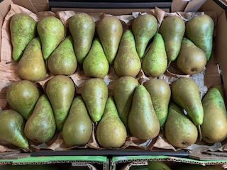 POIRE CONFERENCE + - 7 KGS