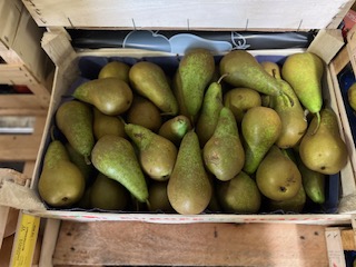 POIRE CONFERENCE + - 12 KGS