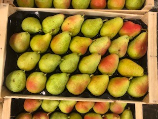 POIRE GUYOT +- 4 KG