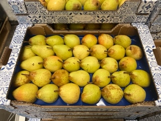 POIRE  ROCHAS  + -  4KG