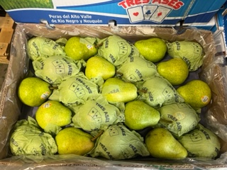 POIRE WILLIAM  VERTE  + - 9 kg