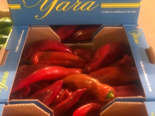 POIVRON LIPARI ROUGE 5KG