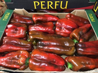 POIVRONS ROUGE CLOVIS + -  5 KGS