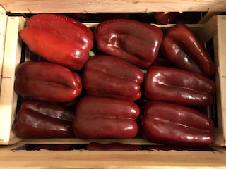 POIVRON ROUGE