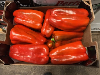POIVRONS ROUGE CLOVIS + -  5 KGS