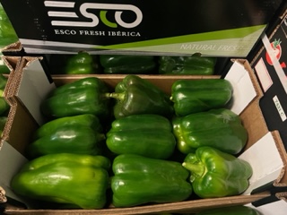 POIVRON VERT  + - 5 KG