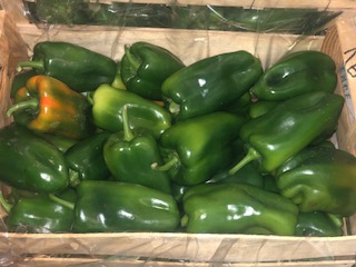 POIVRON VERT  + - 8 KG