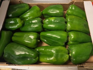 POIVRON VERT  + - 5 KG
