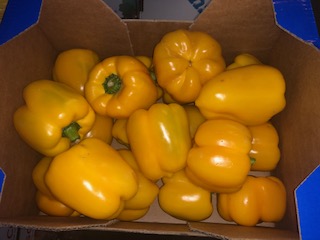 POIVRON JAUNE +  - 5 KG